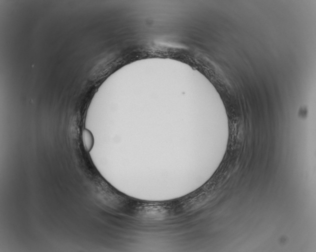 X0000116670702201001111311