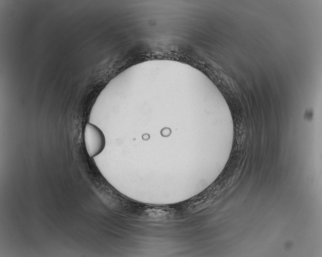 X0000116670703201001111311