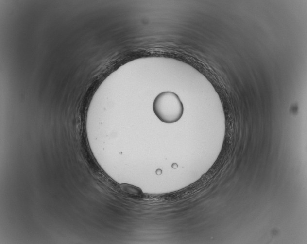 X0000116670704201001111311