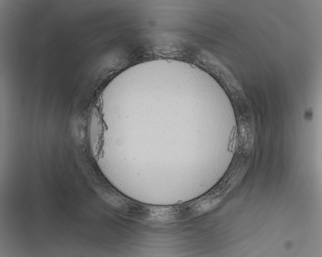 X0000116670705201001111311