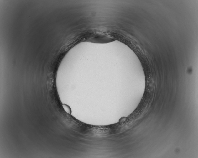 X0000116670707201001111311