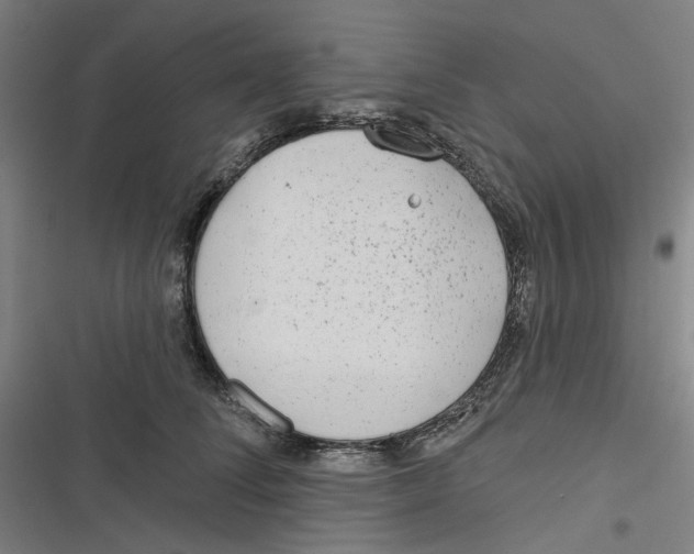 X0000116670708201001111311