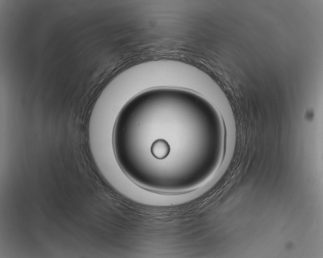 X0000116670709201001111311