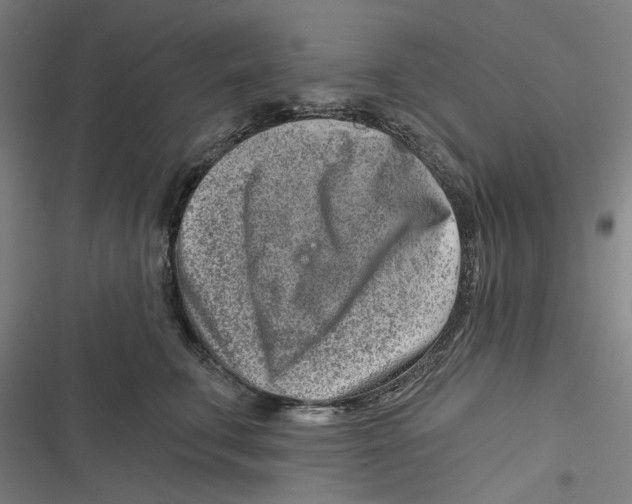 X0000116670711201001111311