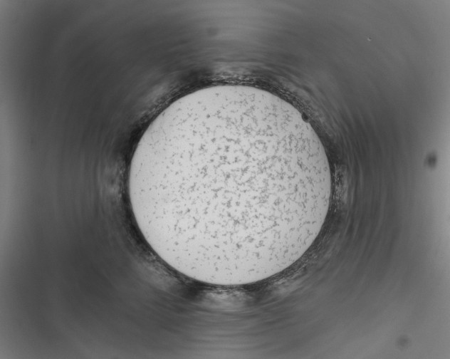 X0000116670712201001111311