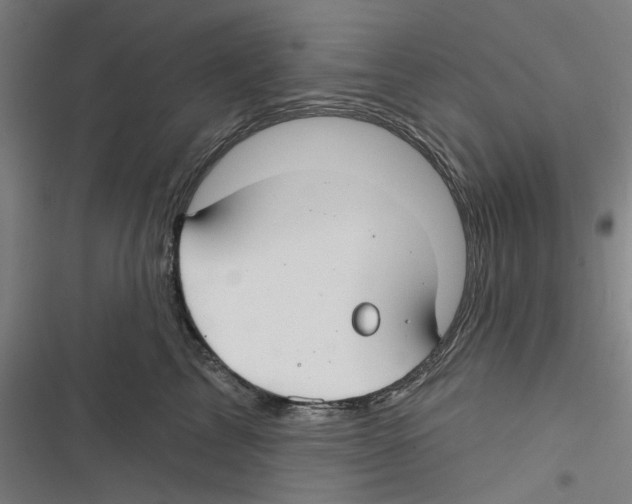 X0000116670713201001111311