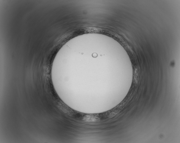 X0000116670714201001111311