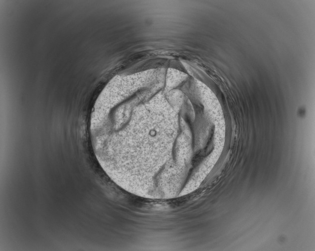 X0000116670715201001111311