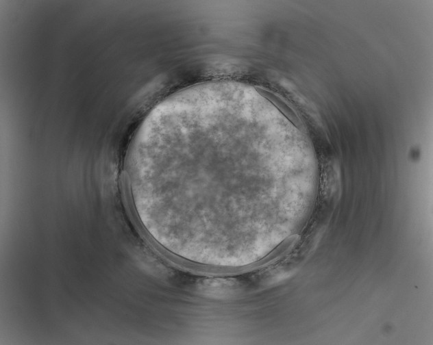 X0000116670716201001111311