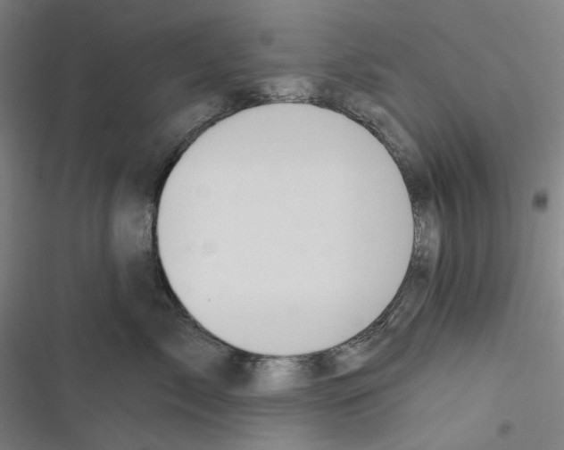 X0000116670717201001111311