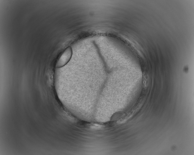 X0000116670718201001111311