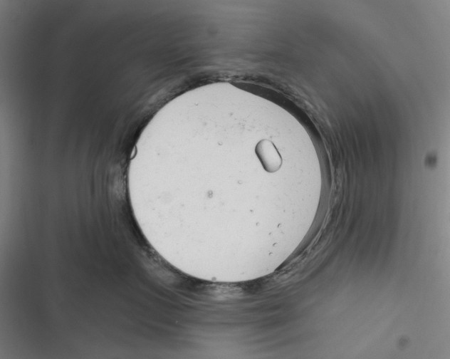 X0000116670719201001111311