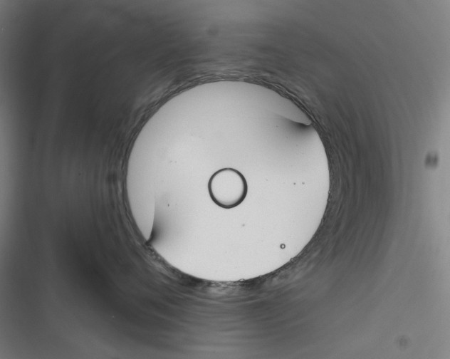 X0000116670720201001111311