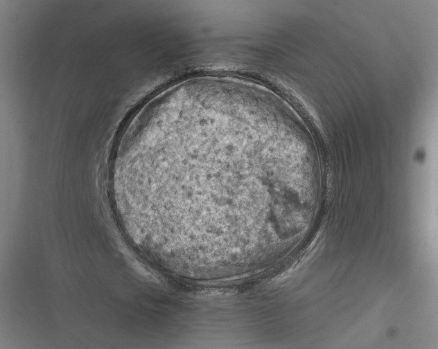 X0000116670721201001111310