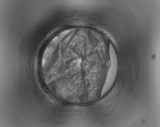 X0000116670722201001111310