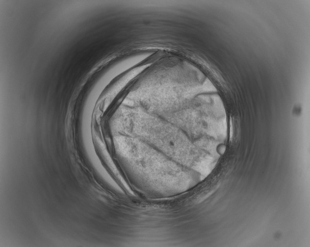 X0000116670723201001111310