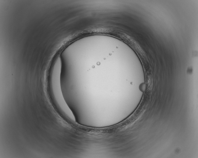 X0000116670725201001111310