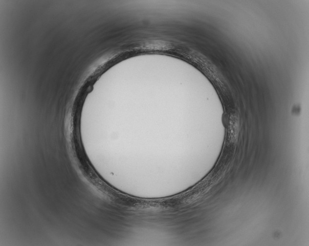 X0000116670726201001111310