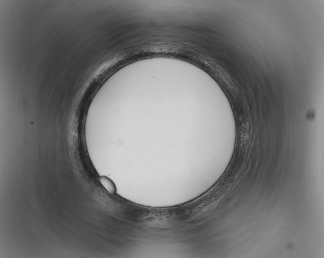 X0000116670727201001111310