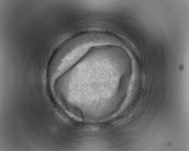 X0000116670729201001111310