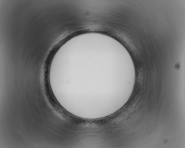 X0000116670730201001111310