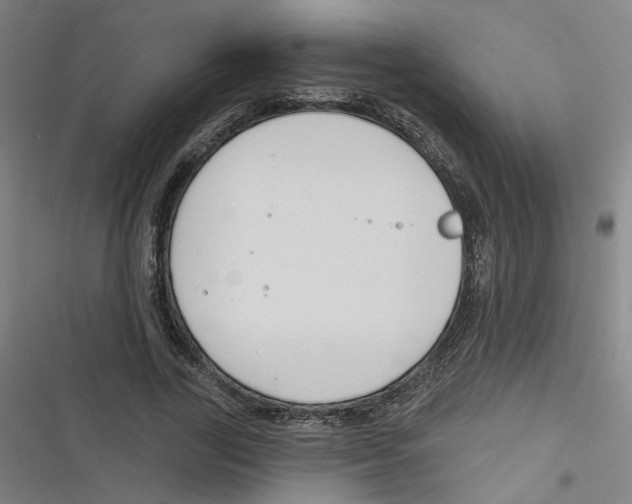 X0000116670731201001111310