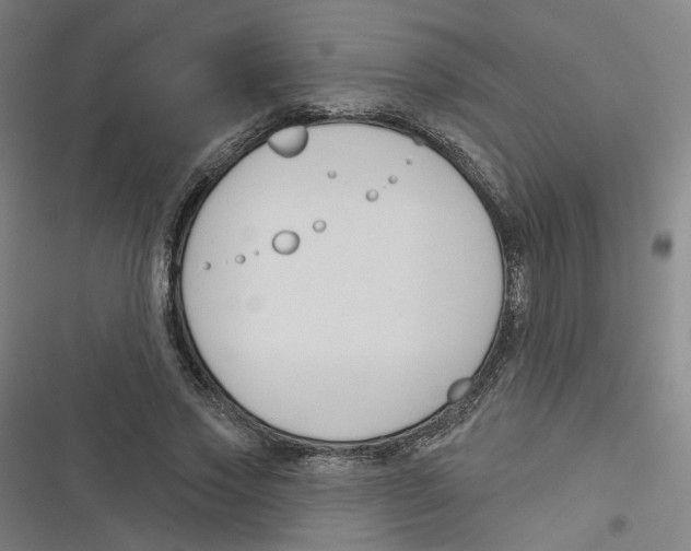 X0000116670733201001111310