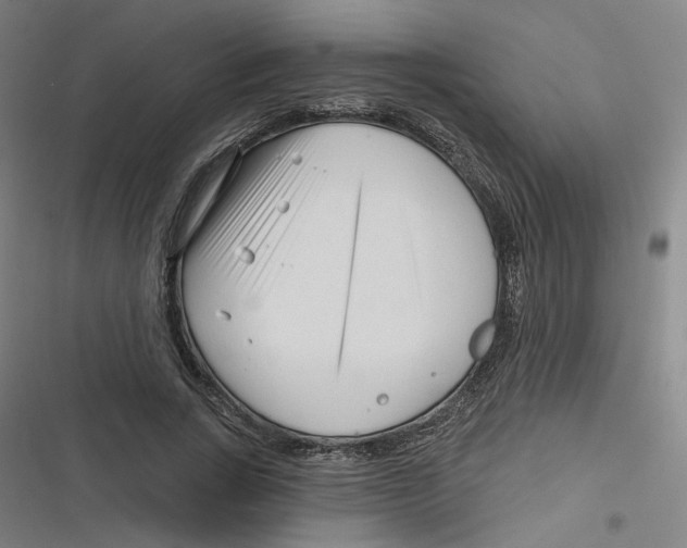 X0000116670735201001111310