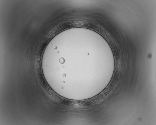 X0000116670737201001111310