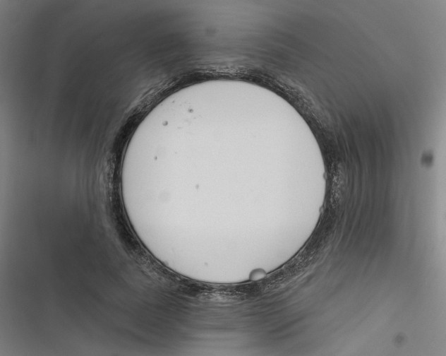 X0000116670739201001111310