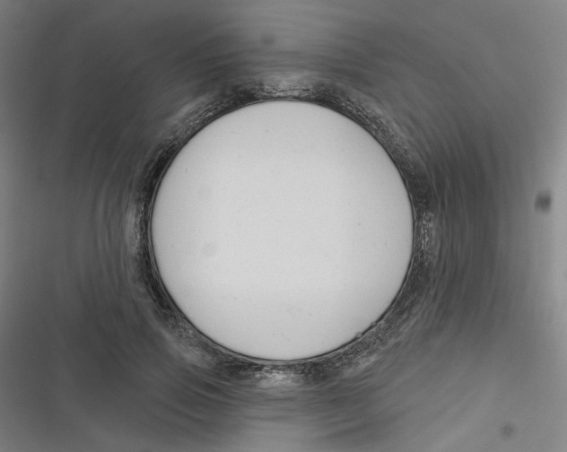 X0000116670741201001111310