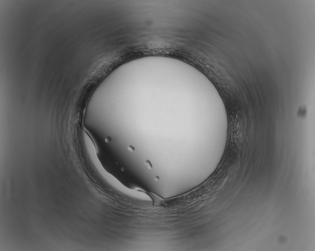 X0000116670742201001111310