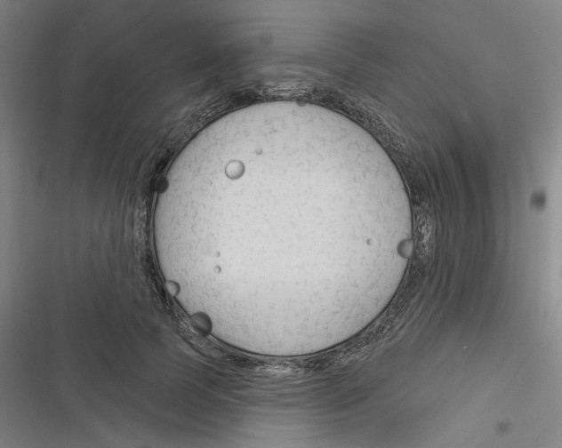 X0000116670745201001111310