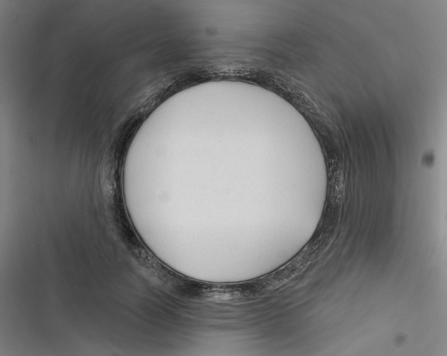 X0000116670746201001111310