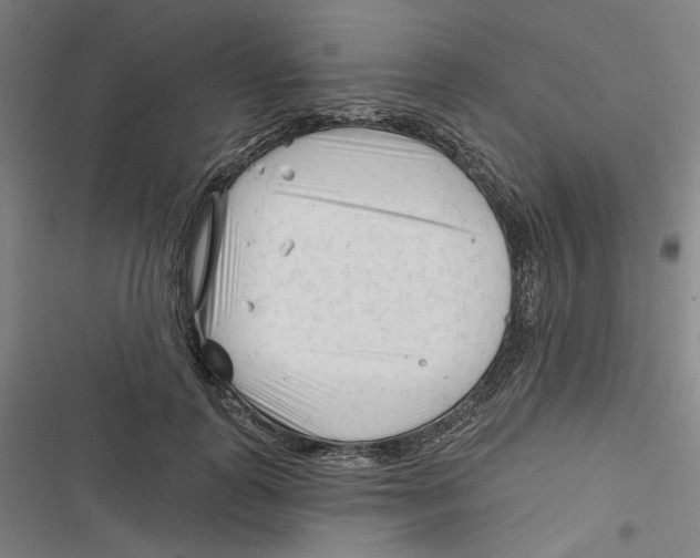 X0000116670747201001111310