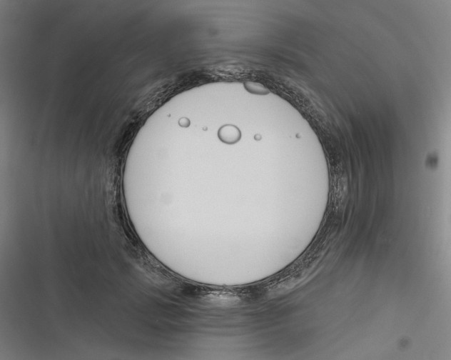 X0000116670749201001111310