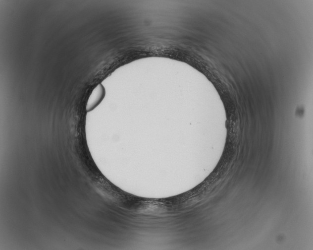 X0000116670750201001111310