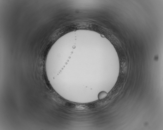 X0000116670753201001111310