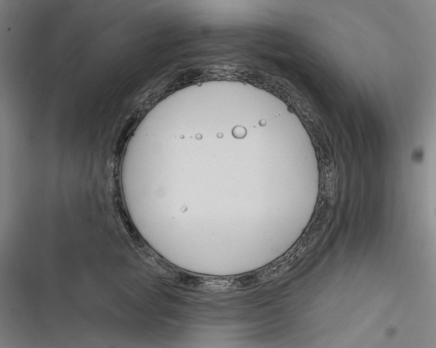 X0000116670757201001111310