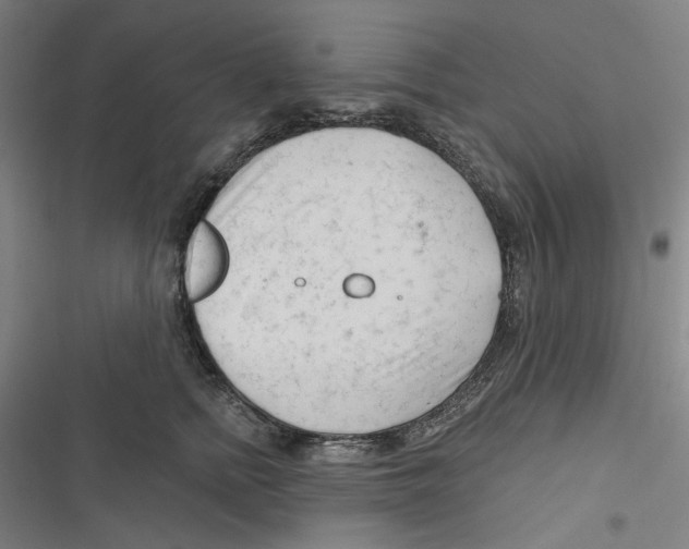 X0000116670758201001111311