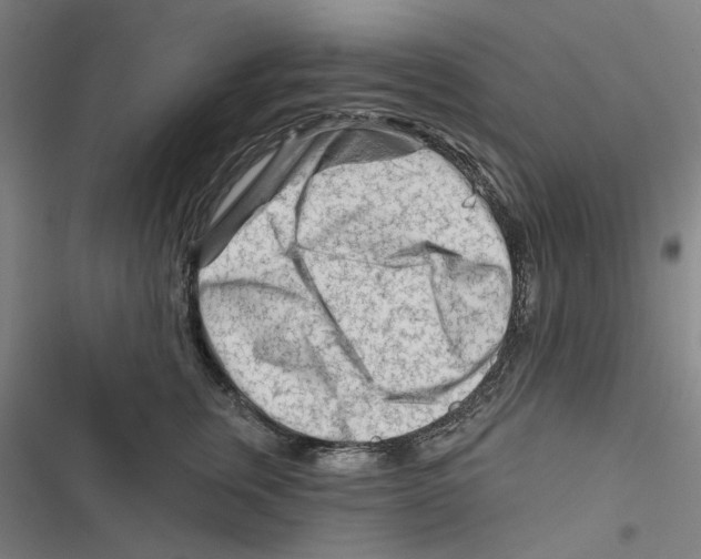 X0000116670759201001111311