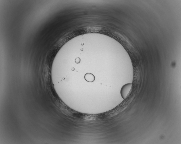 X0000116670761201001111311