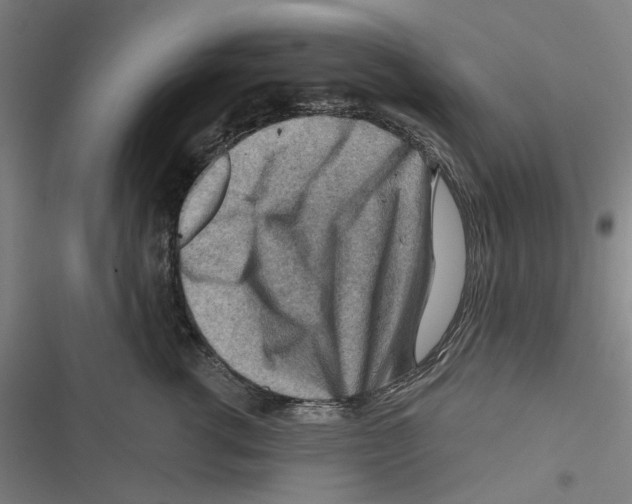 X0000116670762201001111311