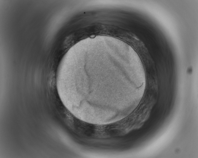 X0000116670766201001111311