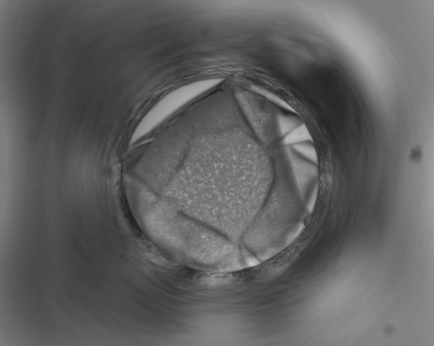 X0000116670767201001111311