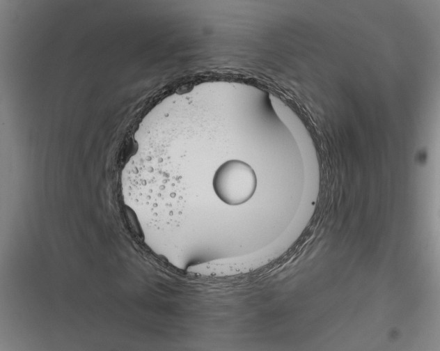 X0000116670769201001111310