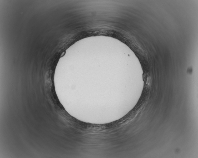 X0000116670771201001111310