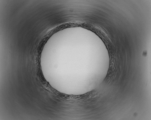 X0000116670773201001111310