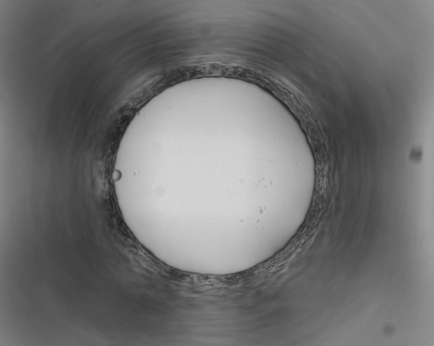 X0000116670774201001111310