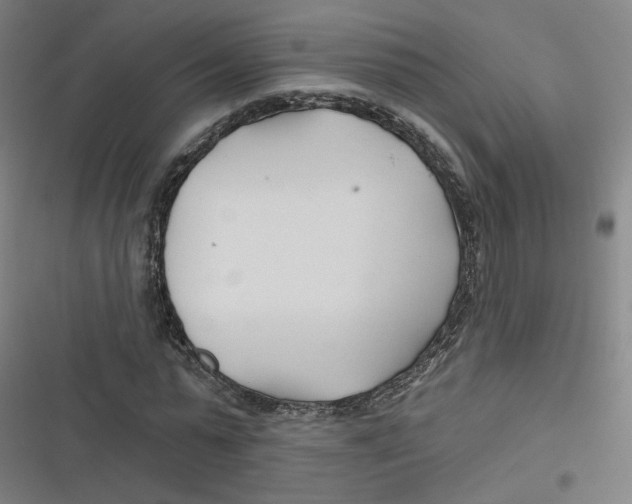 X0000116670775201001111310